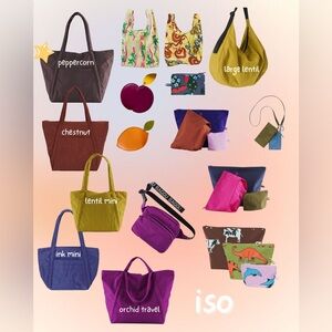 BAGGU ISO